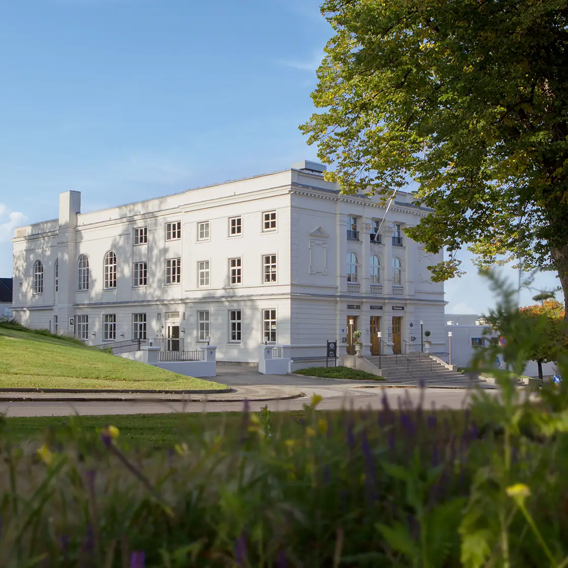 Festiviteten%20liten